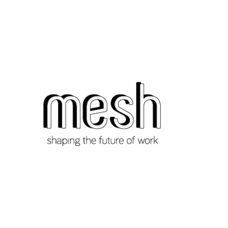 مش mesh .. منصة من دبي لربط الشركات مع المواهب المتميزة لخلق فرص عمل مبتكرة 