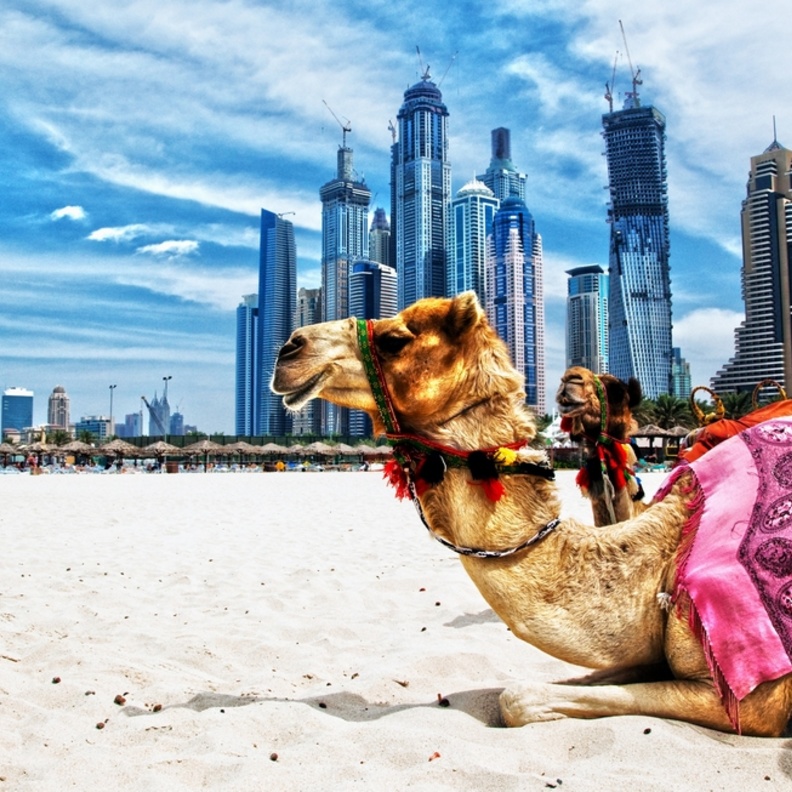 دبي تتميز بتراثها الثقافي الذي يحمل مزيج مبهرا بين ثقافتي الشرق والغرب