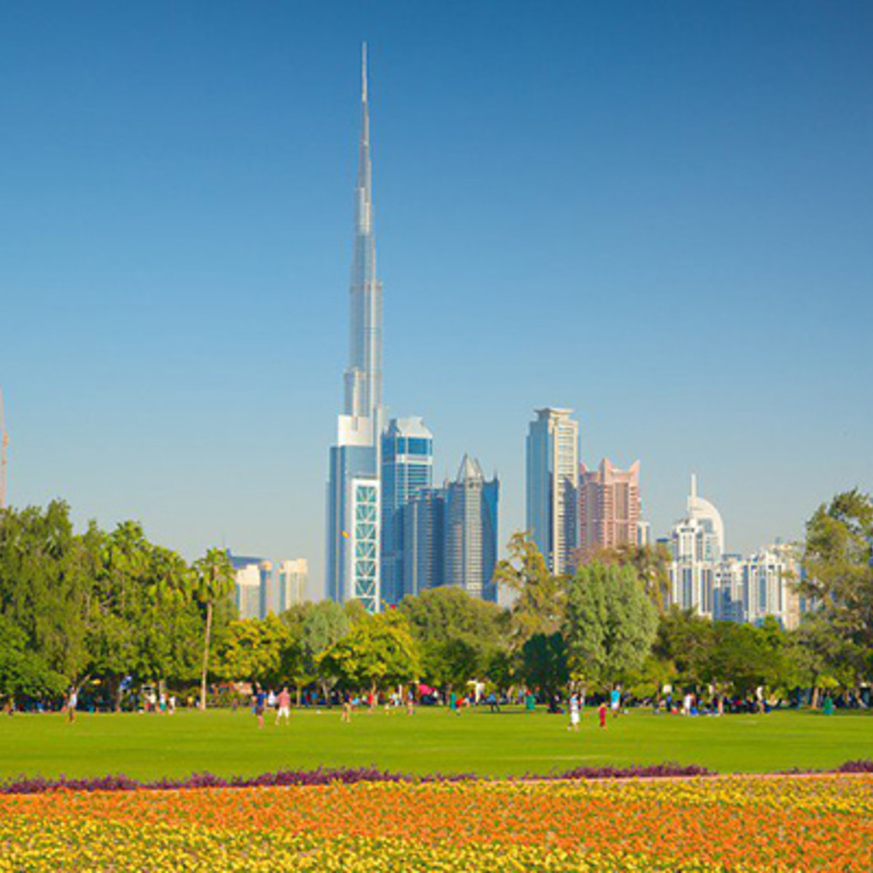 الحدائق والمنتزهات في دبي لها ضوابط .. تعرفوا عليها