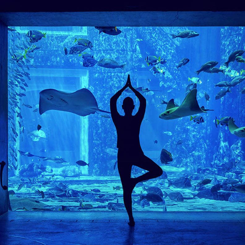 وجهات بارزة تستضيف مبادرة " تحدي دبي للياقة" بفعاليات وعروض مميزة