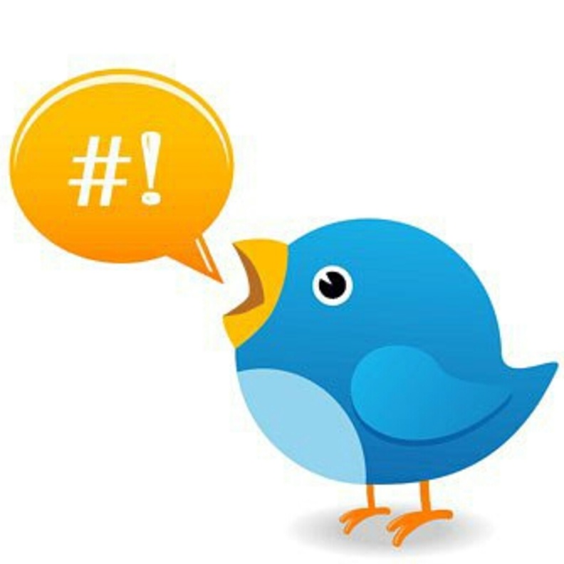 كيف علق المغردون على هاشتاق "هل ترضى تتزوج سمينة"!