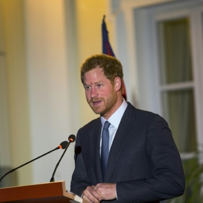 الامير هاري 