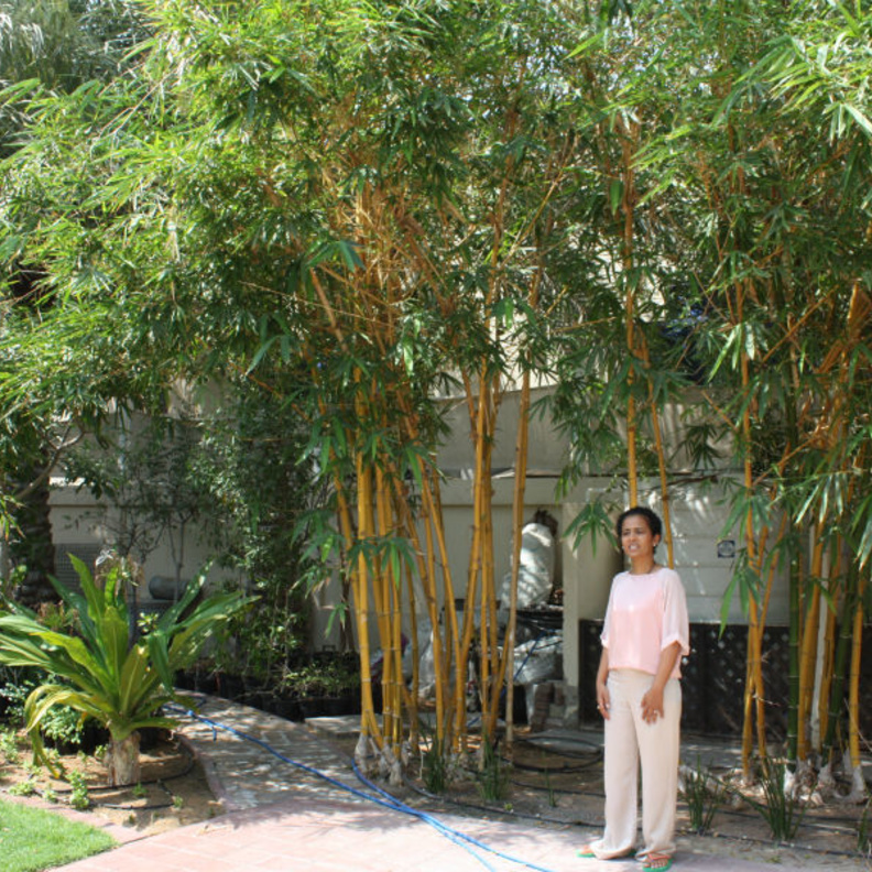 الهوايات الرياضية والنباتات النادرة لها مكان في البيت