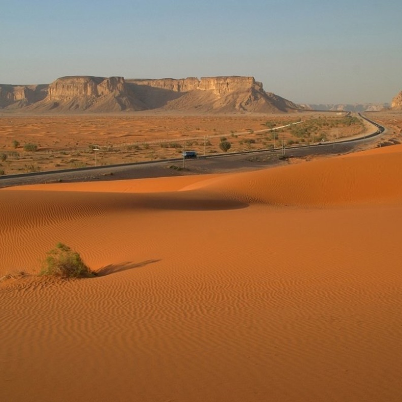 غدا الخميس .. أول أيام موسم طباخ التمر!