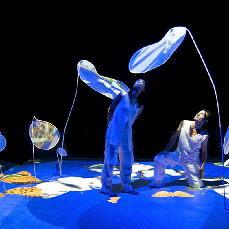 عرض الفراشات لفرقة كومبانيا تي بي أو في أبوظبي .. أداء تفاعلي ساحر للعائلات