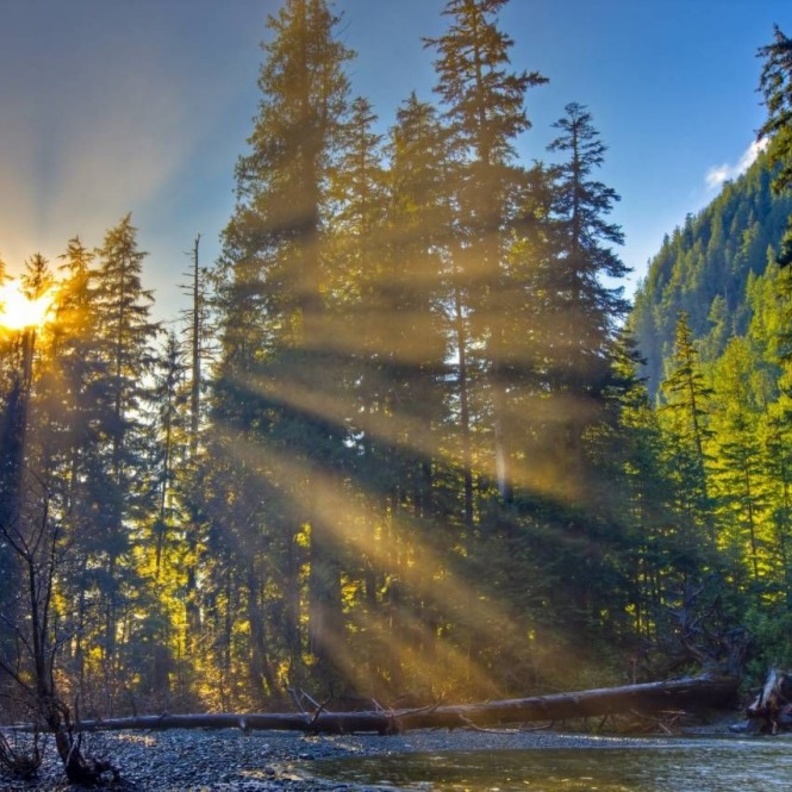 جزيرة فانكوفر في كندا