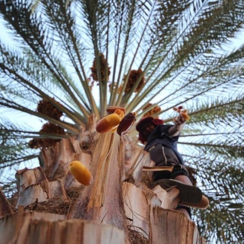 الهيئة الملكية لمحافظة العلا تعلن أسماء الـ5 فائزين في المسابقة "صور العلا"