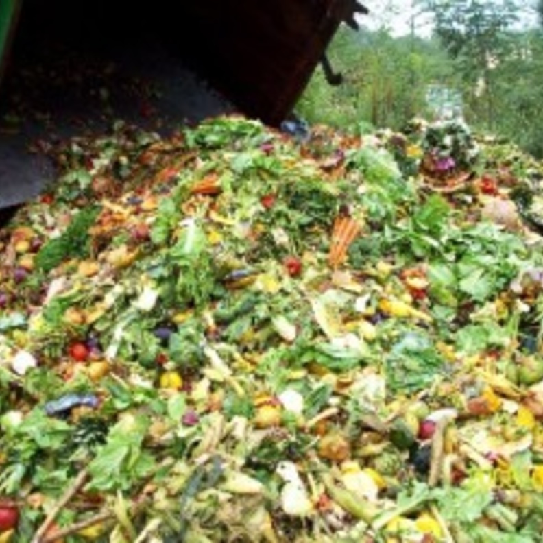 هدر المواد الغذائية