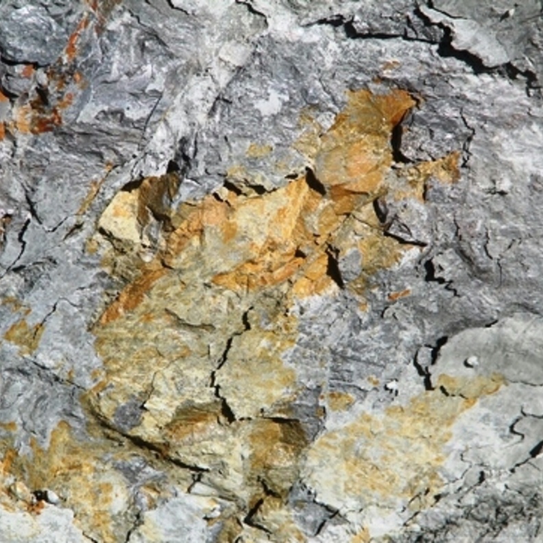 من صور عرق الذهب المنتشرة