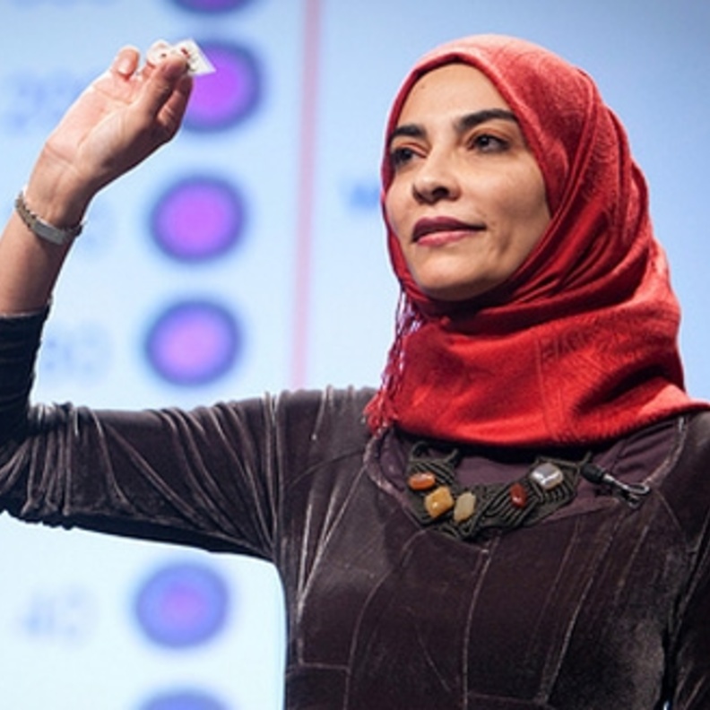 الدكتورة حياة سندي