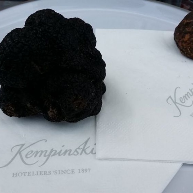 شغف بالكما والسلمون في مطعم برونيلو الايطالي