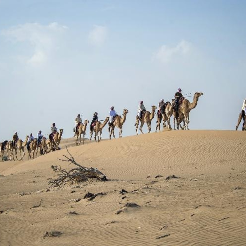 "على خطى الأجداد" ..رحلات صحراوية فريدة من نوعها