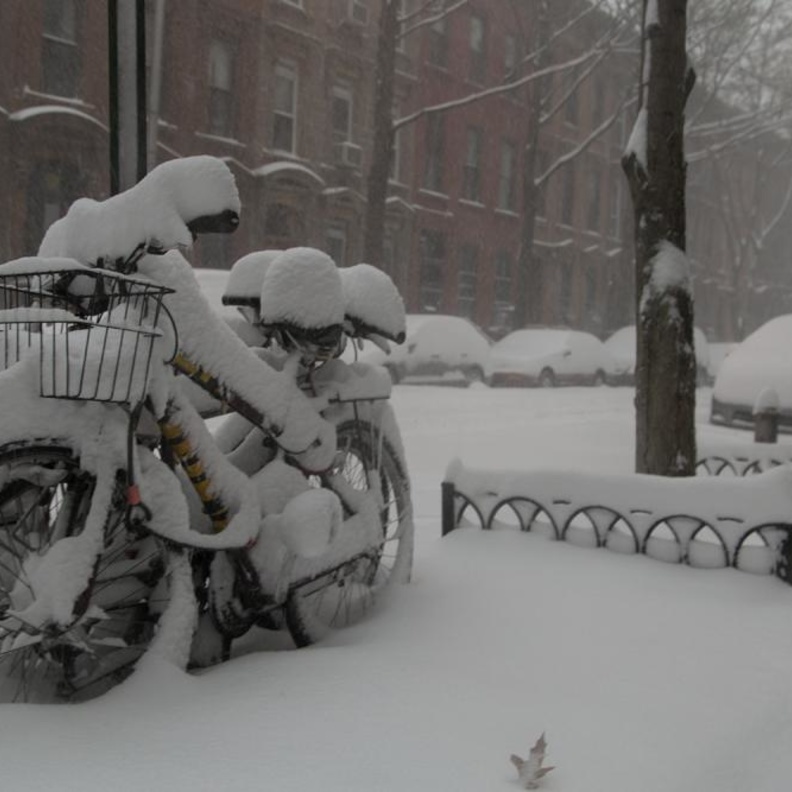 بالصور: العاصفة سنوزيلا تقتل 23 أمريكياً