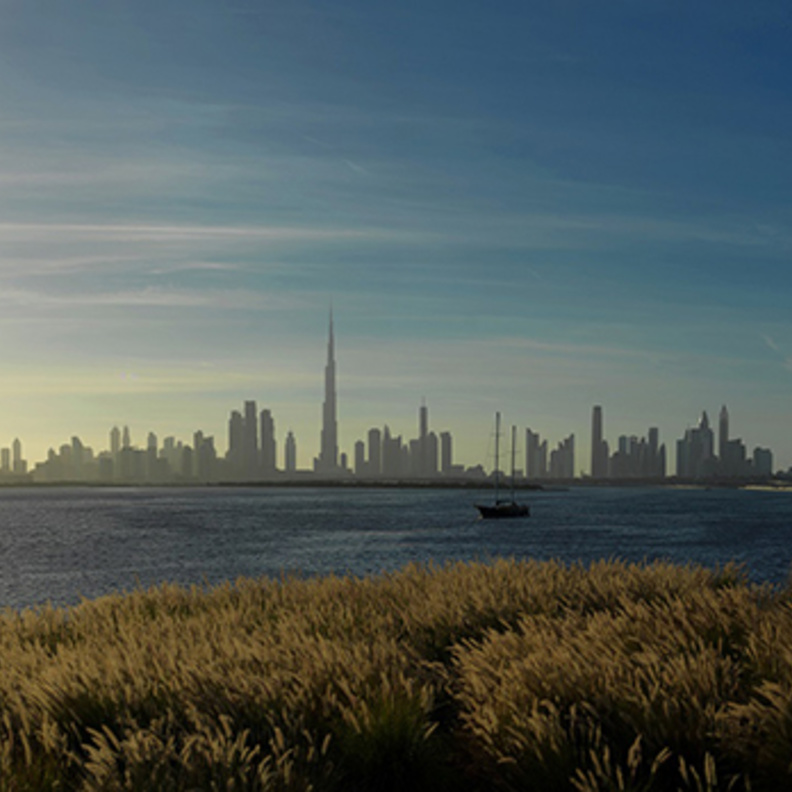 نظرة على فعاليات RiseDCH الترفيهية المميزة في خور دبي