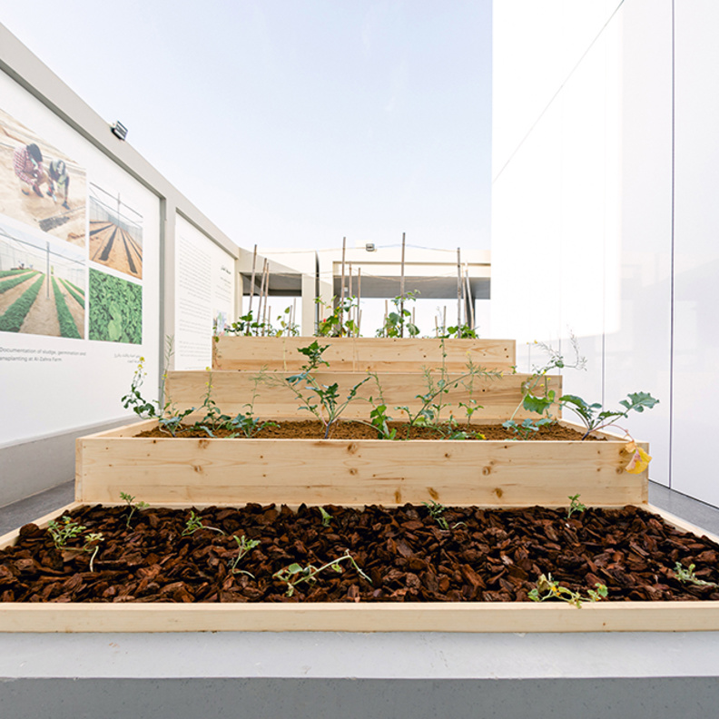 أجندة "مركز جميل للفنون في دبي" لربيع 2020 