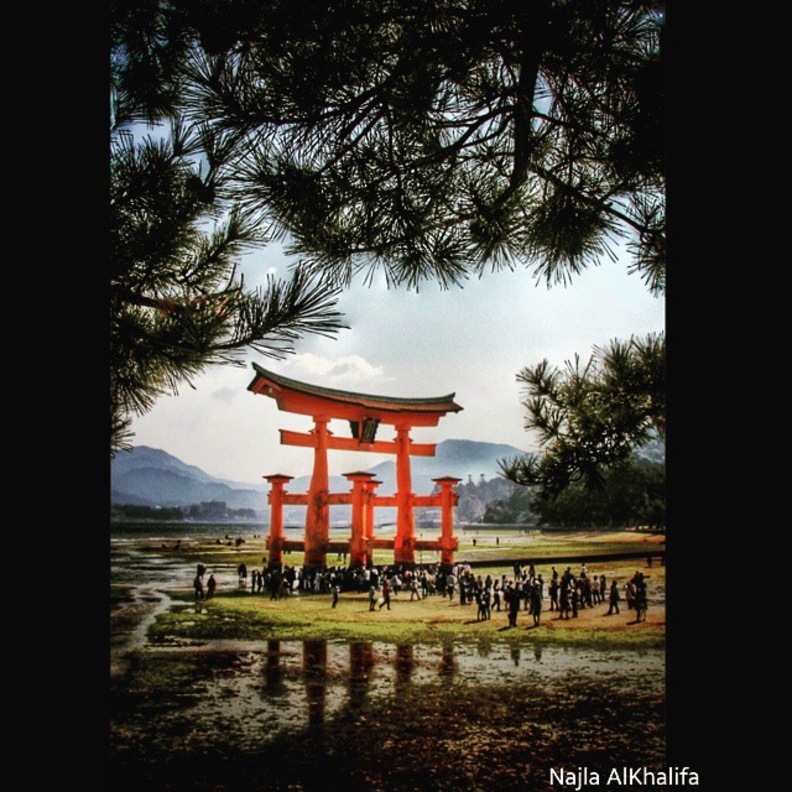 تصوير نجلاء