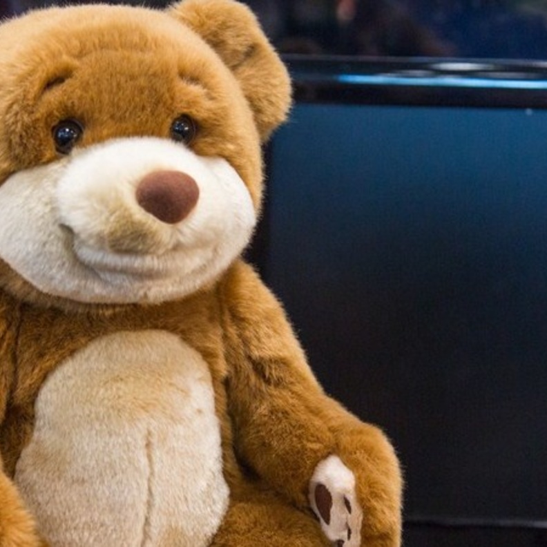 دب محشو للاتصال بالانترنت ومحادثتك