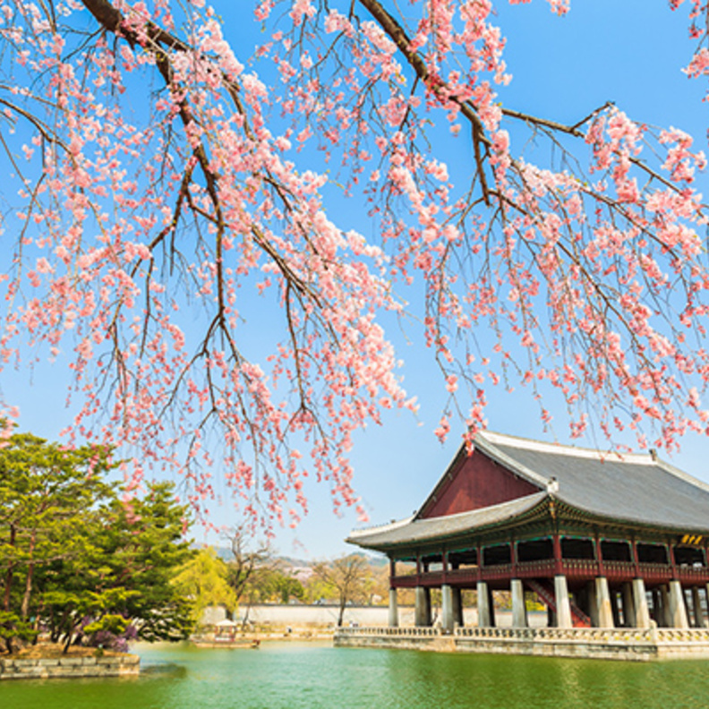 وجهات ربيعية رائعة .. تعرفوا عليها