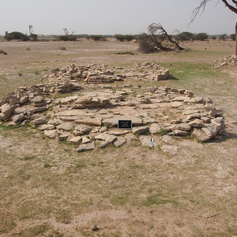 هيلي 8 ..  أحد أقدم مواقع الاستيطان الزراعي في الإمارات العربية المتحدة