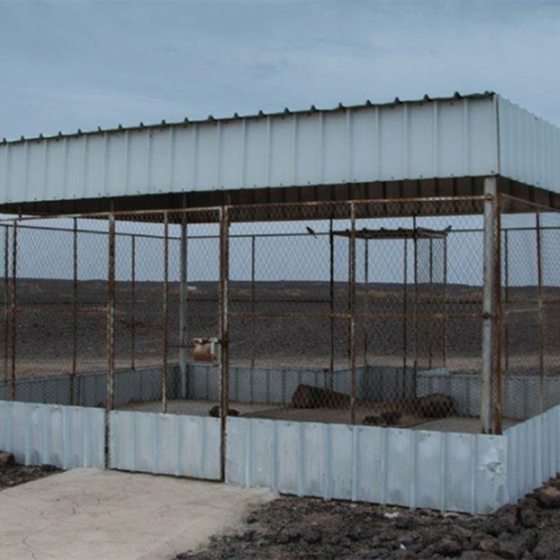 تاريخ التصوير الفوتوغرافي في المملكة العربية السعودية في معرض "لقطات سعودية" في دبي