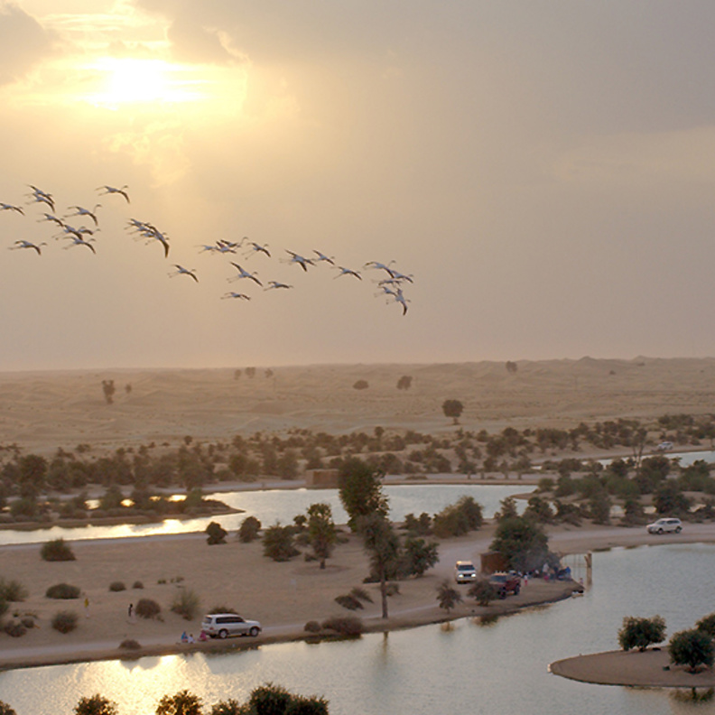 المرموم - وجهة مثالية لعشاق الطبيعة