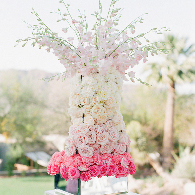 سنتربيس جميلة من اللون الزهري الاومبري