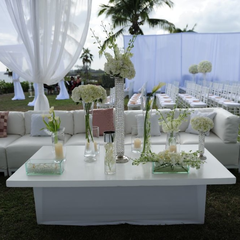 البرادي البيضاء لأناقة مميزة