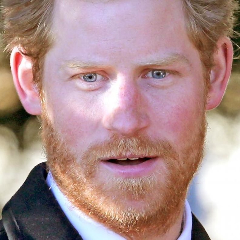 الامير هاري