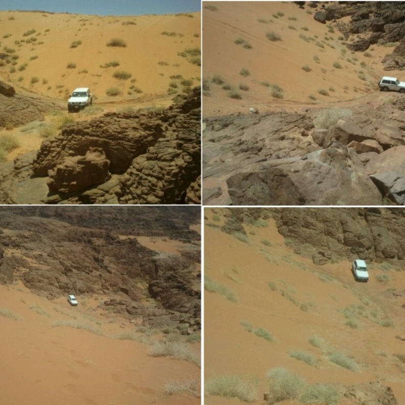 قصص الضياع في الصحراء متكررة في كل عام 