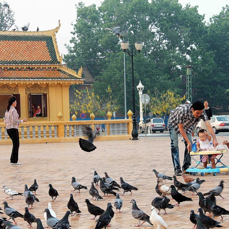  التجول في منطقة سيسوواث كواي