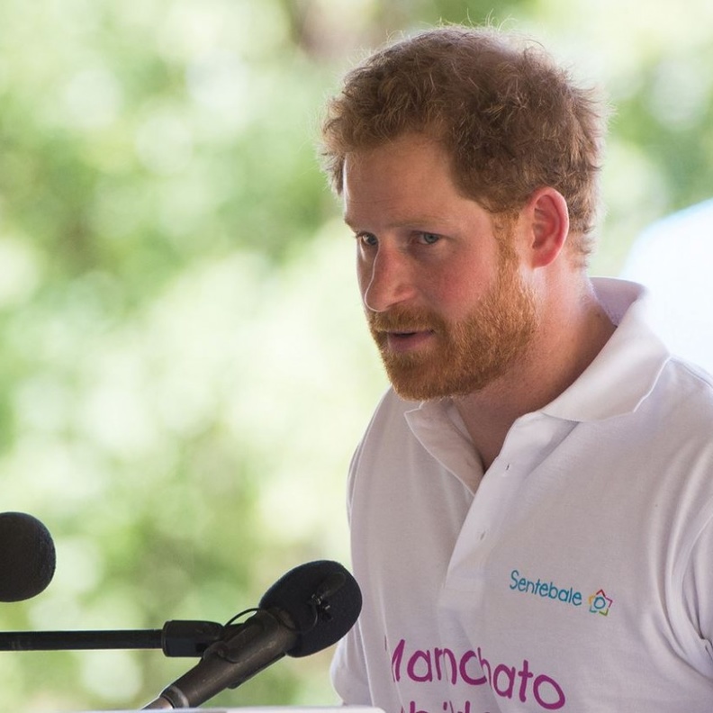 الأمير هاري