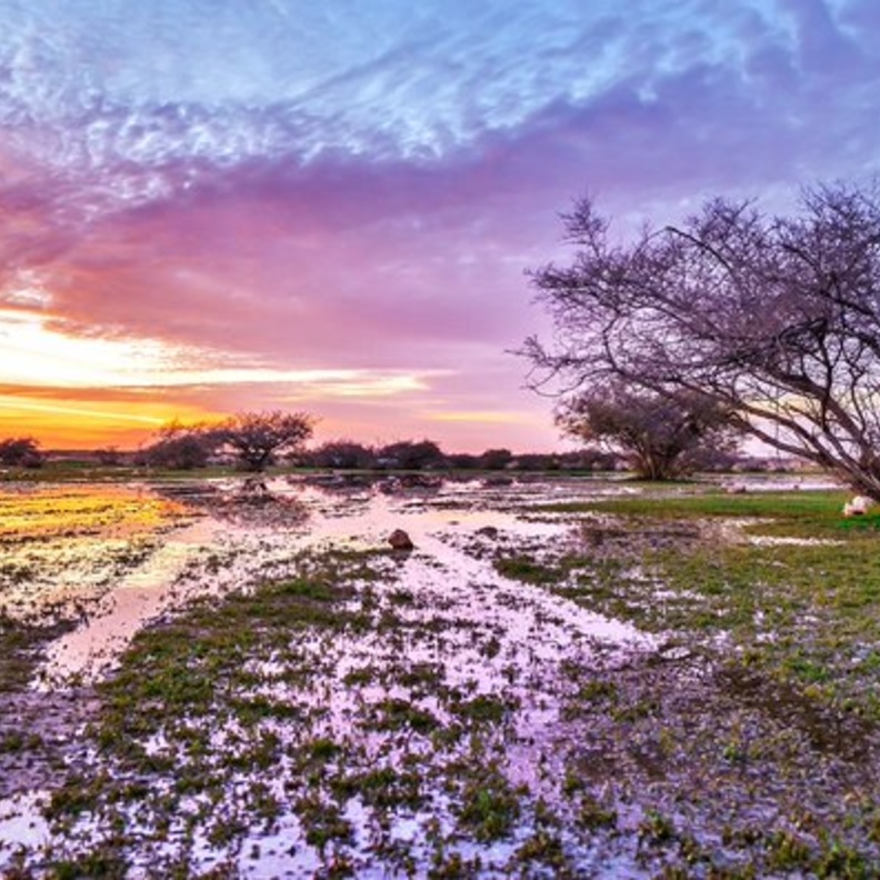 الحدود الشمالية 