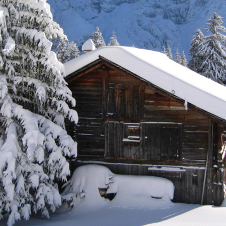 أدفأ شهر ديسمبر على سويسرا منذو 150 عام