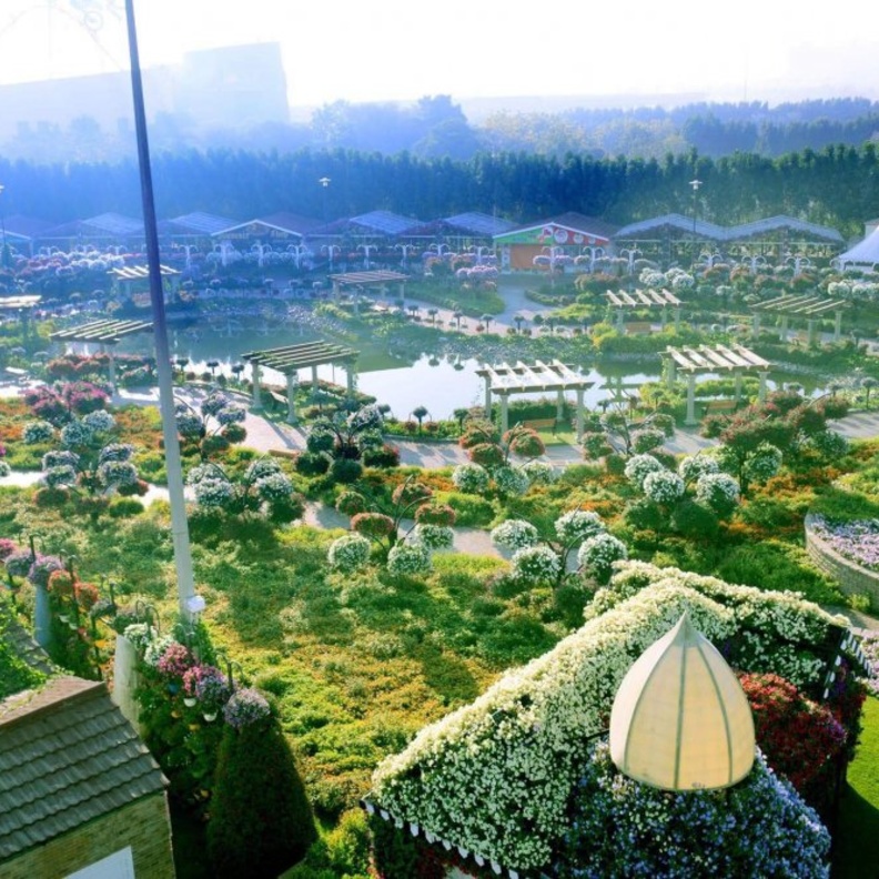 افتتاح الحديقة المعجزة بموسمها السادس يوم 7 نوفمبر 2017