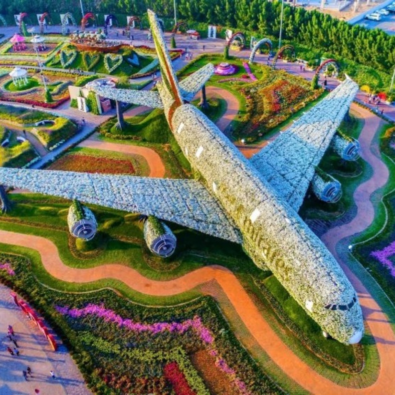 1 نوفمبر 2018 .."دبي ميراكل جاردن"  تفتح أبوابها من جديد