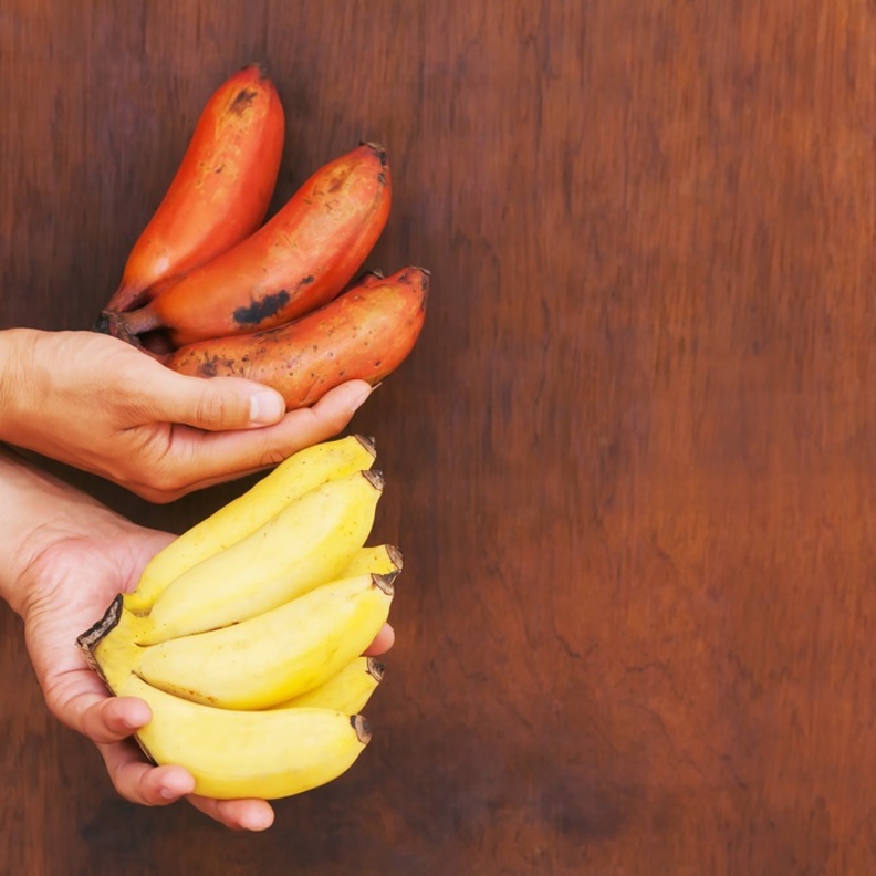 فوائد صحية و جمالية عديدة للموز الاحمر