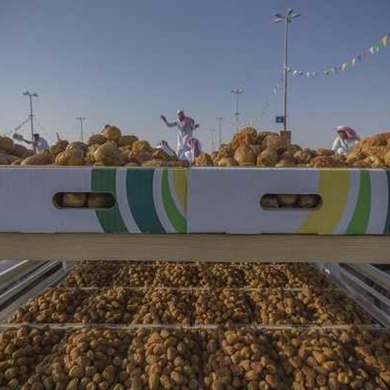 الصورة الفائزة بالمركز الأول 