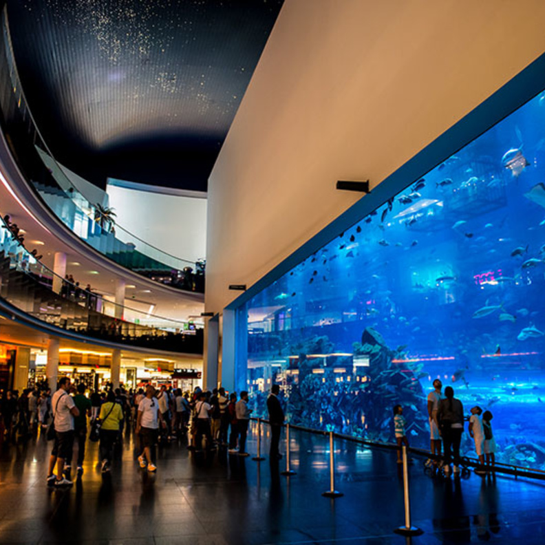 دبي أكواريوم وحديقة الحيوانات المائية