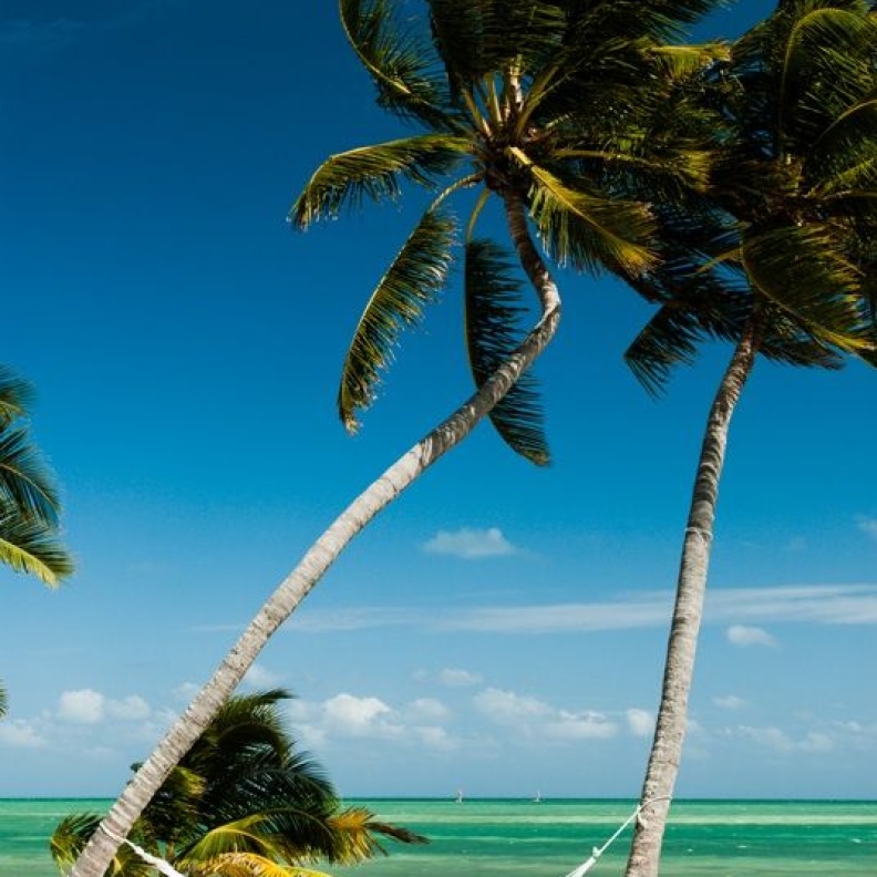 فلوريدا كيز.. موطن الجزر الأميركية