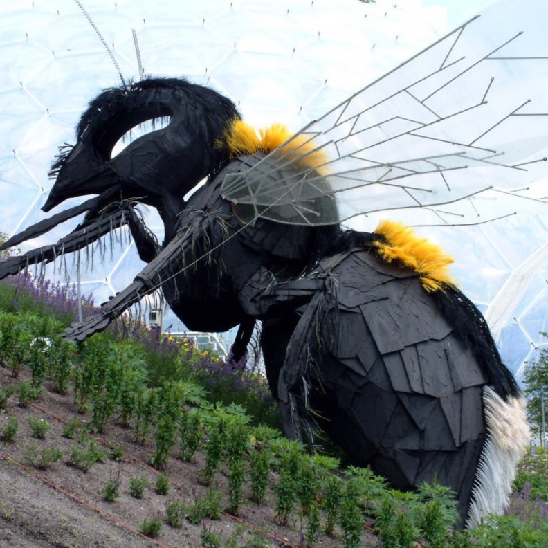 اصطحب أطفالك إلى "مشروع عدن" في كورنوال في إنجلترا