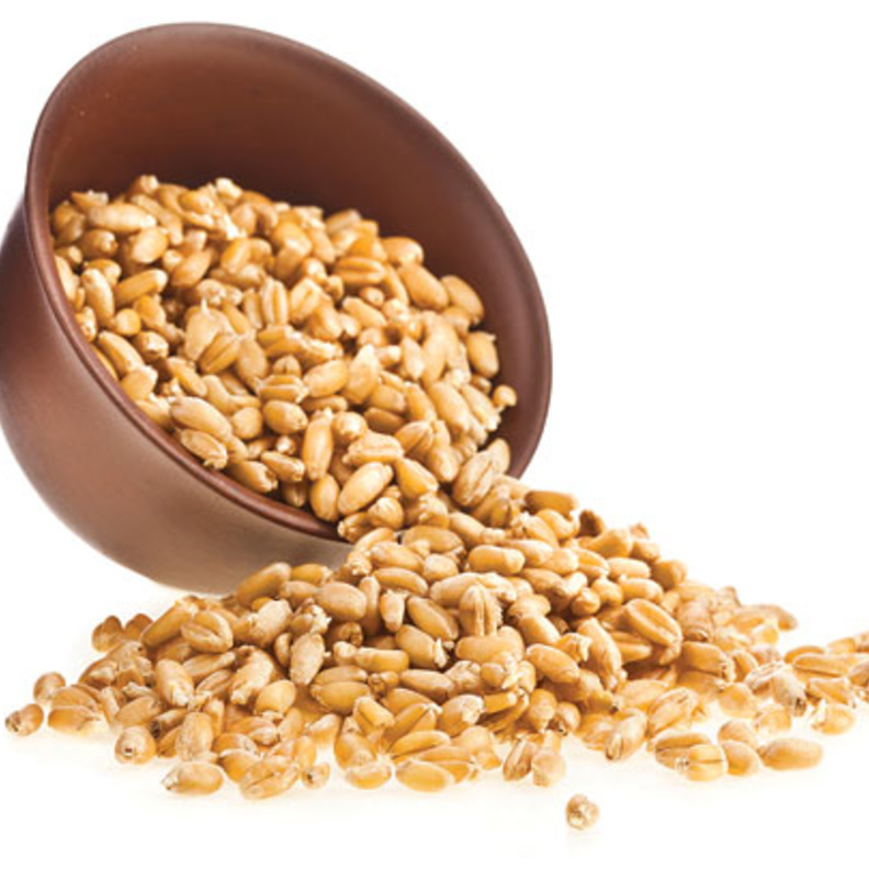 جنين القمح زاخرٌ بالفيتامينات والمعادن ومضادات الأكسدة