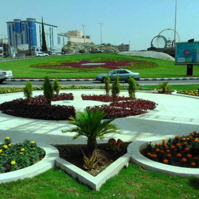 تم زراعة أكثر من 67 ألف زهرة وشجيرة مختلفة الأشكال في شوارع أبها 