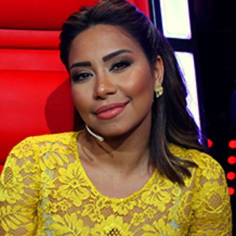 لجنة حكم برنامج ذا فويس خلال المواسم الماضية