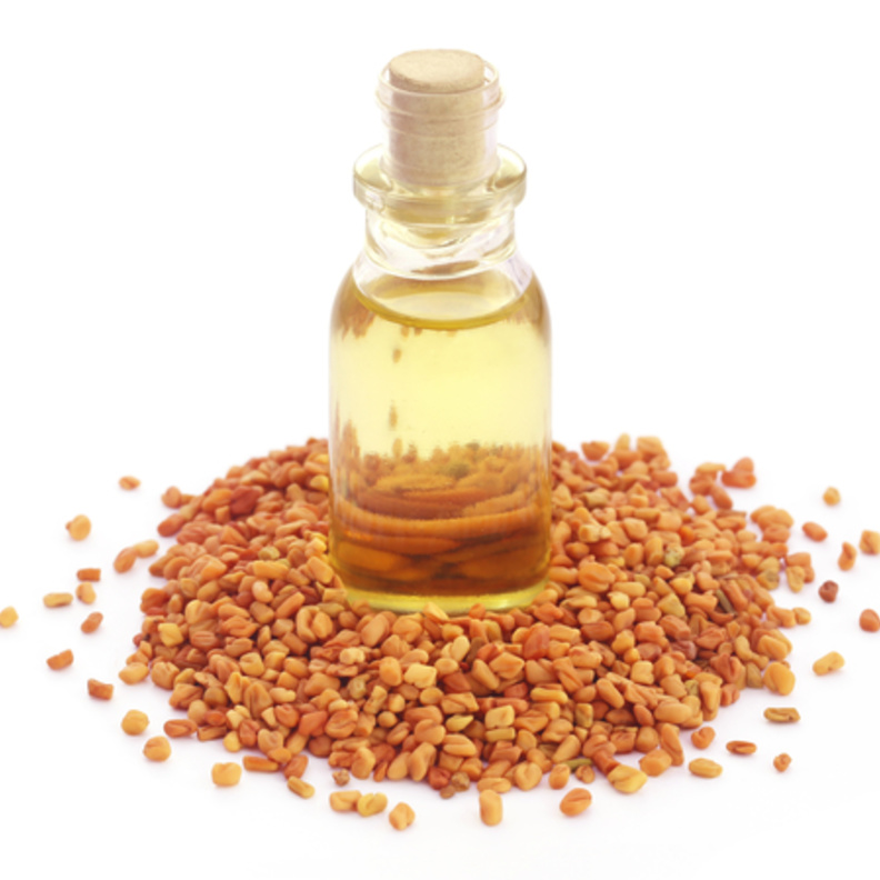 زيت الحلبة يقي من سرطان القولون
