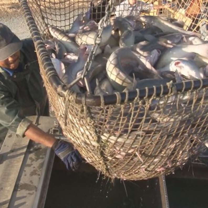 خسائر هارفي و ايرما اقتربت من 300 مليار دولار