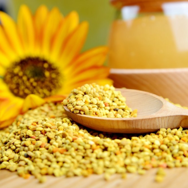 مغلي الحلبة ينقي ويقوي الكلى عند النساء.