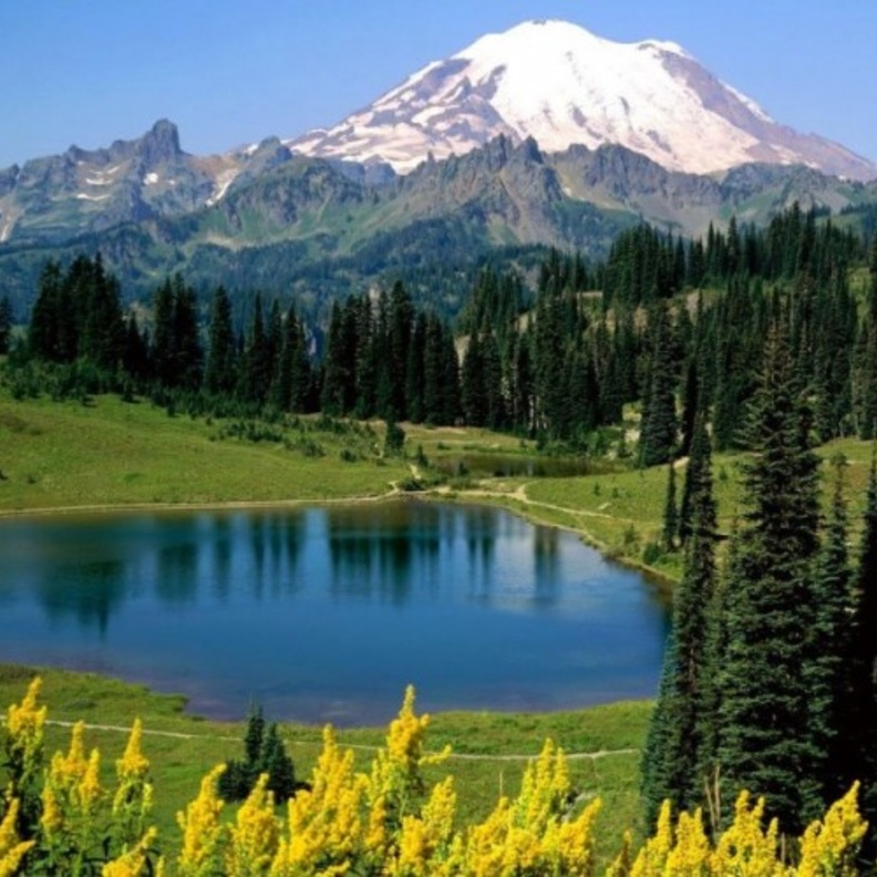 مدينة سوتشي