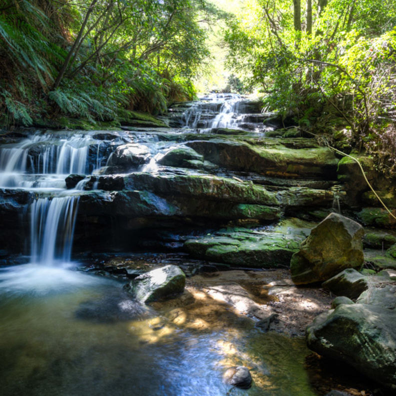سحر الاقامة في قلب الطبيعة في الجبال الزرقاء أستراليا