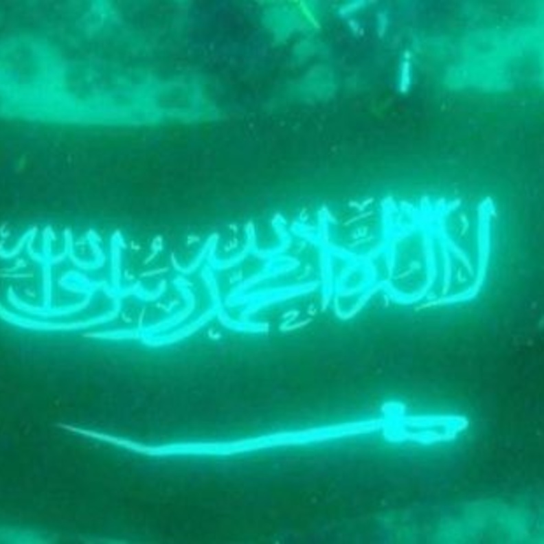 جانب من عملية الغوص