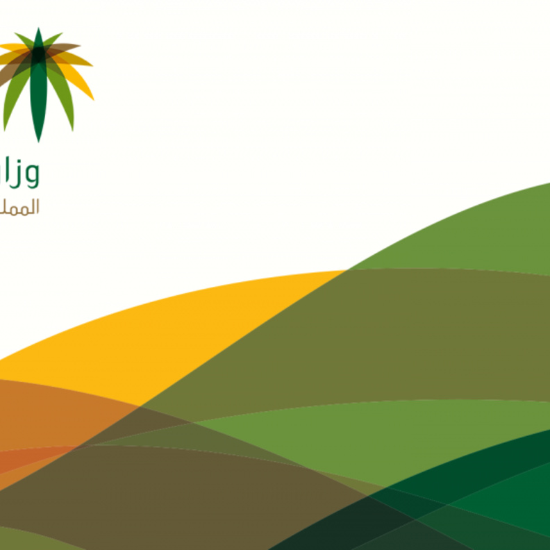 وزارة العمل السعودية أعلنت موعد تطبيق قرار حماية الأجور